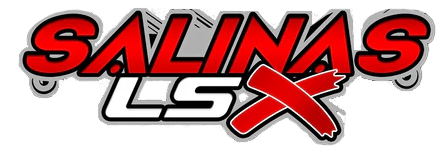 High Power Supercharged Engines for sale